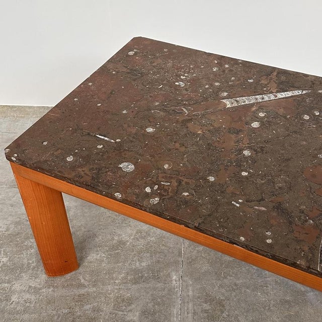 Modernist Fossil Marble Coffee Table with Wooden Base, 1970s For Sale - Image 6 of 10