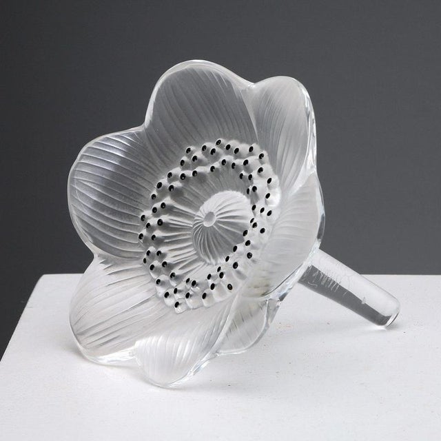 Glass Anemone from Lalique For Sale - Image 8 of 8