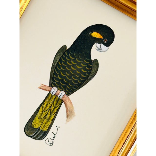 Our black cockatoo that is hand-painted by our master artist with extraordinary attention to detail and the most loving,...