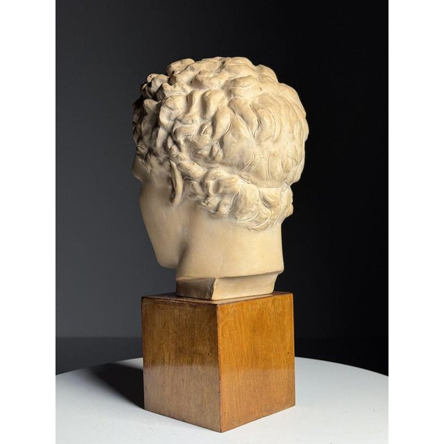 Brown Greek Head Statue in Plaster For Sale - Image 8 of 14