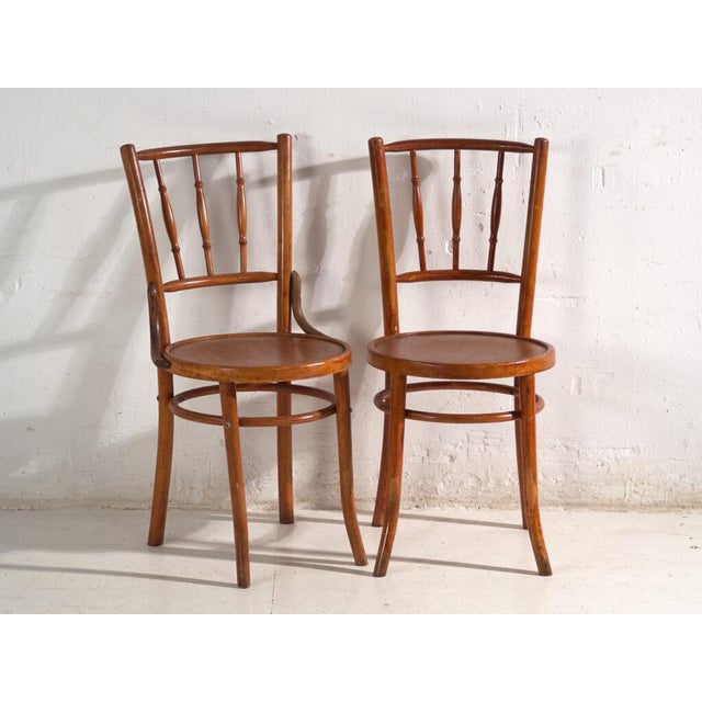 Bentwood Chairs in the style of Thonet, Central Europe, 1930, Set of 4 For Sale - Image 9 of 18