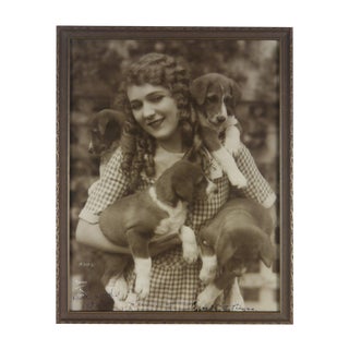 1920s Framed & Autographed Photograph of Hollywood Actress Mary Pickford For Sale