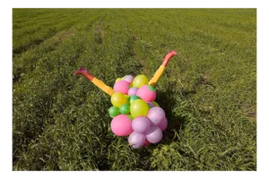 Carla Sutera Sardo, Point of View, Photograph