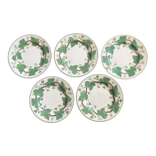 1940s Napoleon Ivy Wedgwood Plates - Set of 5 For Sale