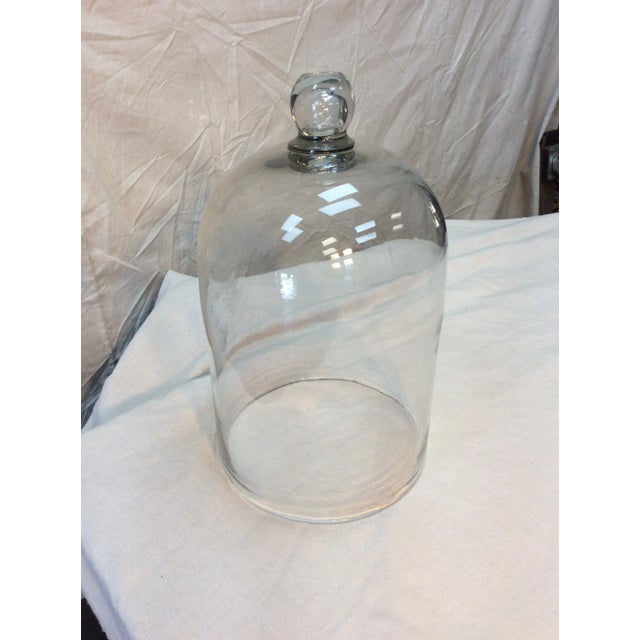 Found in the South of France, this 19th century glass dome or cloche has a solid glass knob handle. Made of blown glass,...