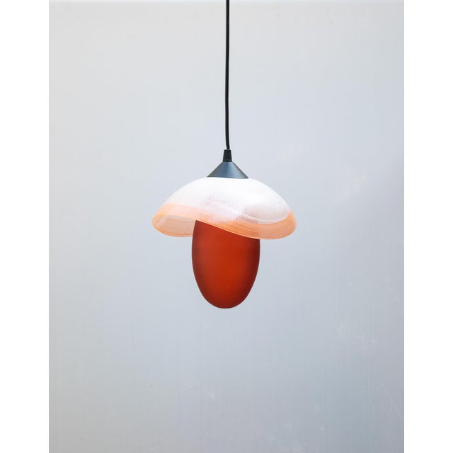 Early 21st Century Italian Iconic Hanging Light by Mariana Iskra for Ribo the Art of Glass For Sale - Image 5 of 8
