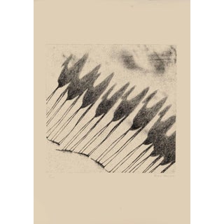 Shadow of Camels - Original Etching by Tullio Diamanti - 1980 ca. 1980 ca. For Sale