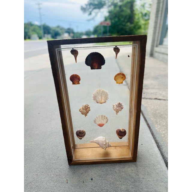 1960s Handmade Vintage Shell Art Shadow Box For Sale - Image 5 of 5