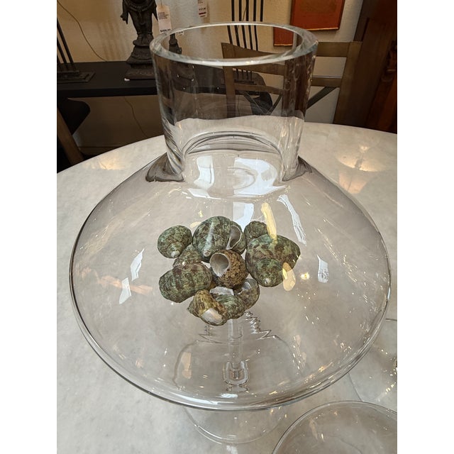 Modern Glass Pedestal Vessels + Seashells, Set of Four For Sale - Image 12 of 12