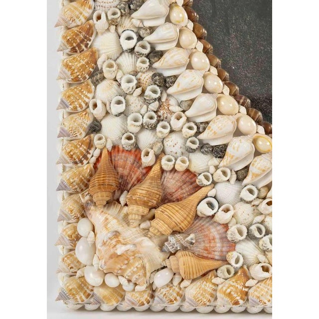 20th Century Shell Mirror For Sale - Image 4 of 9