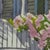 Paint Original Georg K. Salhofer Watercolor Painting Conch Residence Key West Florida For Sale - Image 7 of 12