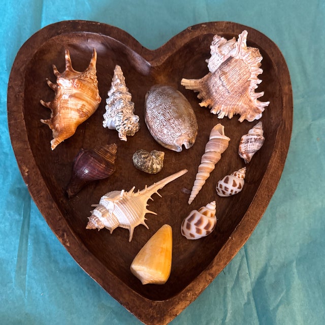Mid-Century Modern Hand-Carved Heart Wooden Catchall Bowl With Curated Seashell Specimen Collection For Sale - Image 9 of 9