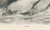 Early 20th Century After Lilian Medland, Great Cormorant, 1909, Print For Sale - Image 5 of 9