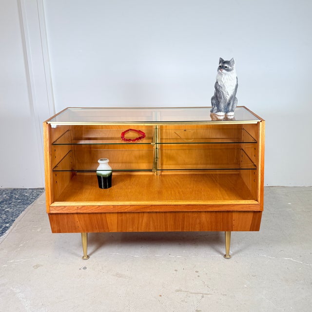 Vintage Counter Display Case on Gold Legs, 1960s For Sale - Image 16 of 16