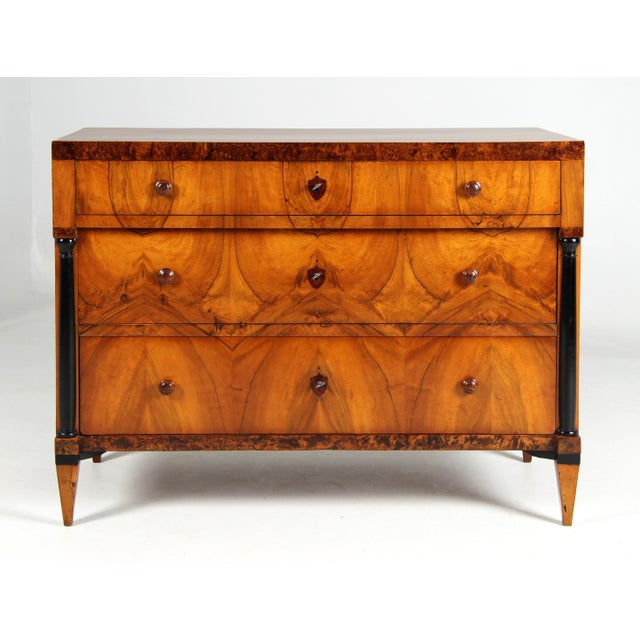 Biedermeier Chest of Drawers, 1820s For Sale - Image 14 of 14