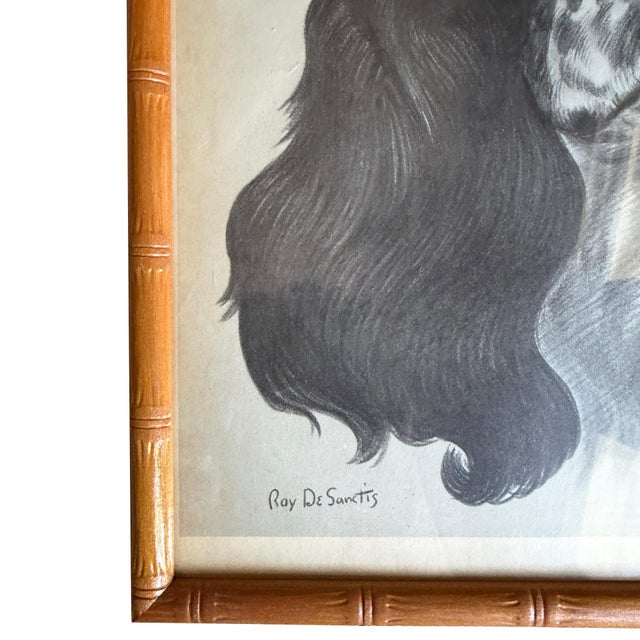 Mid 20th Century Ray De Santis Sporting Dog Portrait, English Cocker Spaniel in Bamboo Frame For Sale In Oklahoma City - Image 6 of 8
