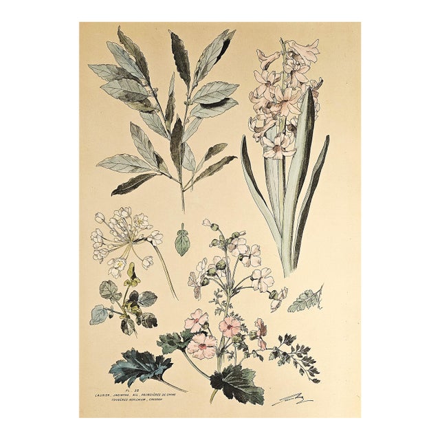 1880s Large Rare French Antique Hand-Colored Chromolithograph by Henri Lambert-Hyacinths, Laurel, Primrose, Asplanium Fern For Sale
