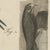 Bertuch, Swallows, Swifts and Nightjar, 1805, Print For Sale - Image 9 of 12