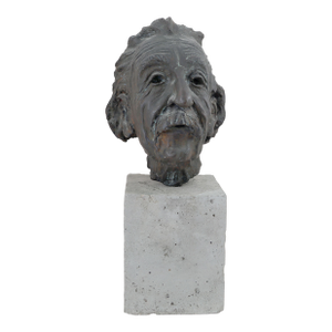 Heavy - Heli Pakarinen Albert Einstein Bronze Bust