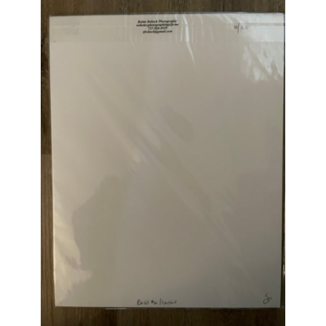 Contemporary Lot of 3 New Matted B&w Original Photographs Signed by Robin Rebeck For Sale - Image 9 of 16