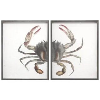Red Splinter Crab in Pewter Frame - Total 40x26 For Sale