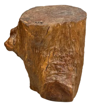 Mid 20th Century Large Light Brown Free-Form Tree Trunk Side Pedestal Table