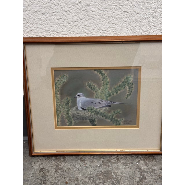 Signed S. Wicklund “Mourning Dove Nesting in Cholla” Framed Original Bird Illustration For Sale - Image 12 of 12