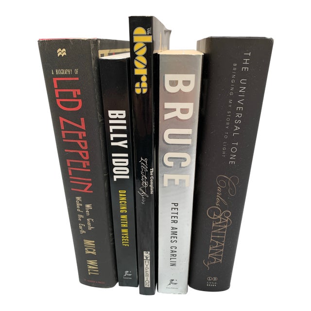 Iconic Set of Rock & Roll Biographical Books, Set of Five For Sale