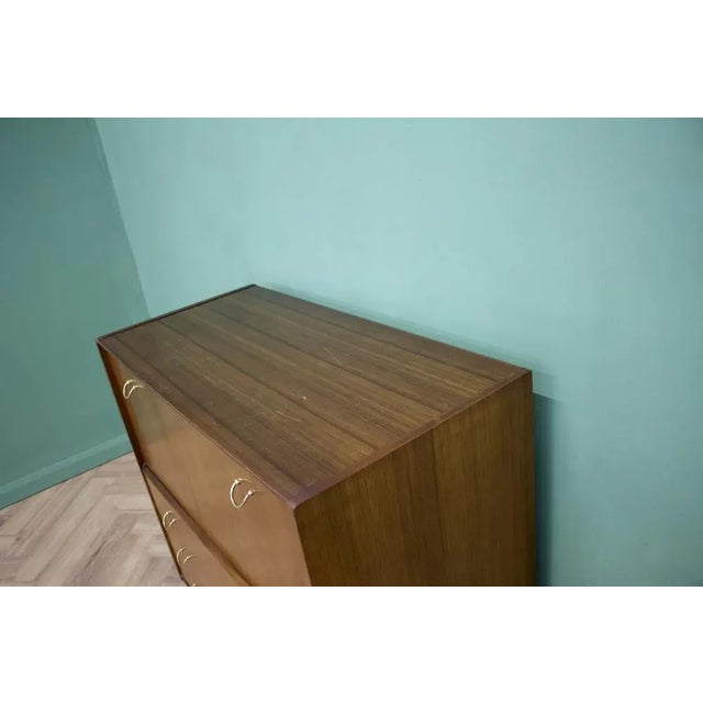 Wood Mid-Century Tola and Black Tallboy Chest from G Plan, 1950s For Sale - Image 7 of 8