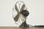Industrial WT 22 Table Fan by Peter Behrens for AEG, Germany, 1909 For Sale - Image 3 of 14