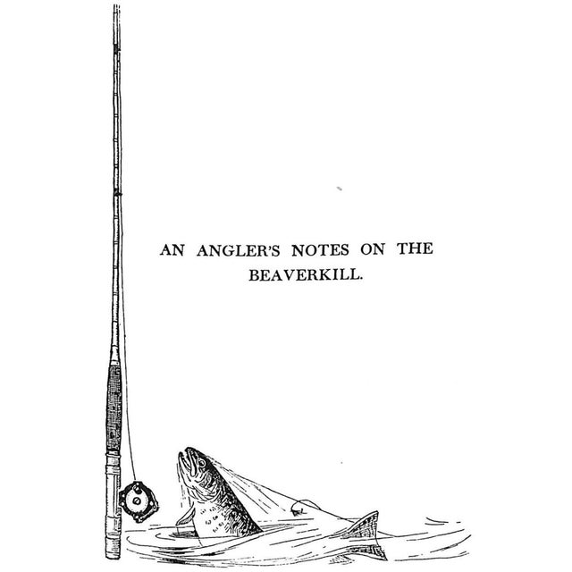 "The Speckled Brook Trout" 1902 Rhead, Louis For Sale - Image 12 of 12