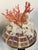 Mediterranean 1970s Pair Ted Mediterranean Coral Branches on Urchins Assemblage For Sale - Image 3 of 7