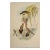 Saw-Bill Hummingbirds, Nest & Eggs: 19th C. Gould Hand-Colored "Grypus Naevius", 1850 For Sale