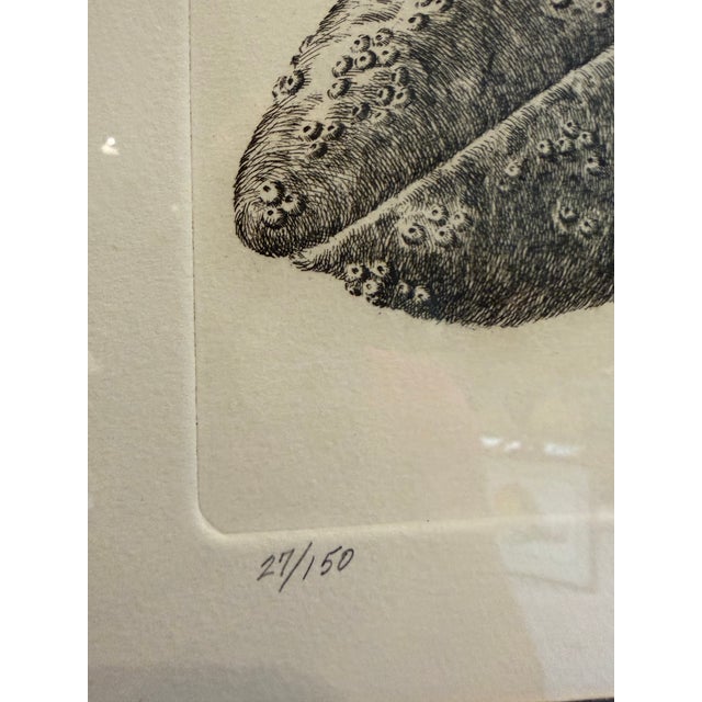 1) Limited edition etching print by J.D. Mayhew, titled Gray Whales and Kelp. Numbered 47 out of 50, signed by the artist,...