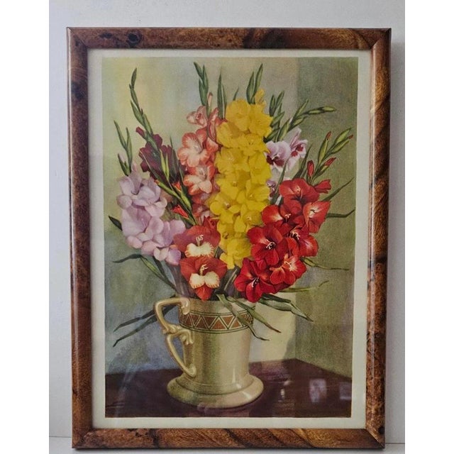 British Botanical Prints, 1930, Paper, Framed For Sale - Image 6 of 9