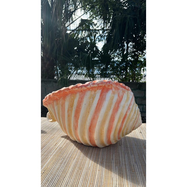 Late 20th Century Large Vintage Mexican Hand Painted Ceramic Shell For Sale - Image 5 of 12