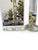 Vintage Dr. Friedrichs Gruppe 24" Galileo Thermometer With Original Box For Sale - Image 4 of 4