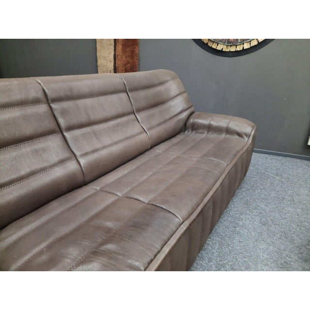 DS 84 Seating in Buffalo Leather from de Sede, 1970s, Set of 4 For Sale - Image 14 of 15