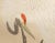 Textile Early 20th C. Meiji to Showa Era Japanese Watercolor Silk Scroll "Sunrise With Cranes" For Sale - Image 7 of 12