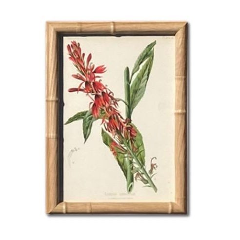 Framed Antique Botanical Chromolithographs — “Wild Flowers of America”, Volume I, L. Prang & Co., Boston (C. 1877) Set of 13 For Sale - Image 12 of 17