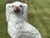 Original, Hand-decorated 19th C. English Porcelain Spaniel Dog Figure. Classic English Cottage Style - especially if you...