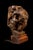Beaux-Arts 20th Century Burl Wood Sculpture of a Ram's Head by Edwin Bucher (1879-1968) For Sale - Image 3 of 5