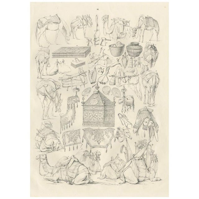 Camel and Caravan Equipment Studies, 1846, Paper For Sale - Image 10 of 10
