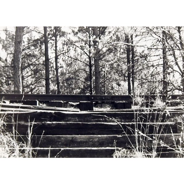 Gallery of Black & White Photographs - Set of 4 For Sale - Image 4 of 6