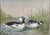 Realism Antique 1878 Alexander Pope Jr Duck Chromolithograph Bufflehead Ducks Framed For Sale - Image 3 of 10