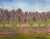 “Fields in Fall” Contemporary Landscape Oil Painting by Teresa DiMarco For Sale