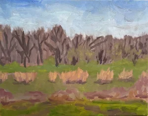 “Fields in Fall” Contemporary Landscape Oil Painting by Teresa DiMarco
