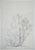Modern Alberto Giacometti, Alberi, 1963, Original Lithograph For Sale - Image 3 of 9