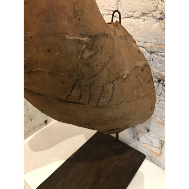 Early 20th Century Taxidermy Mold Horse Head For Sale - Image 4 of 11