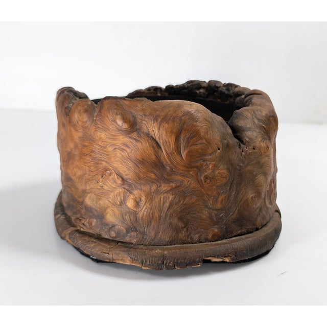 20th Century Rustic Burlwood Rootwood Wine Coaster For Sale - Image 4 of 8